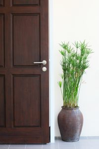 Installing An Entry Door